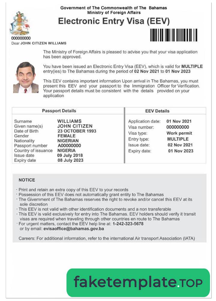 Feature of fake BAHAMAS e-visa example